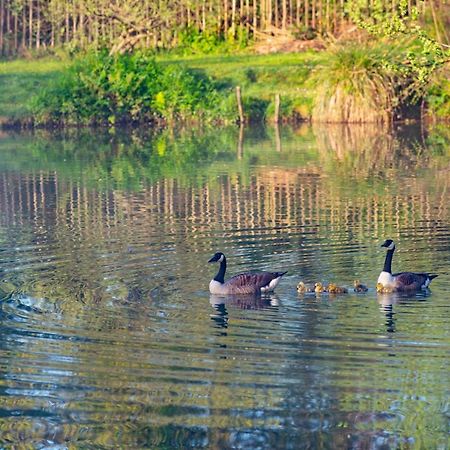 Beautiful Willow Lodge 67-4-6 Persons-Private Hot Tub-Pet Friendly-Tranquil Holiday Away From It All Yet Not Far To St Austell-The Holiday Home Has Two Bedrooms, Living & Dining Area, Equipped Kitchen -Decking-Al Fresco Dining-Fishing Lakes-Pet Frien Grampound Luaran gambar